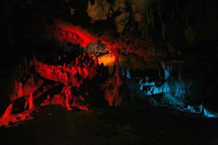 Florida Caverns State Park