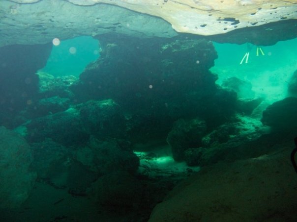 Florida Spring Diving