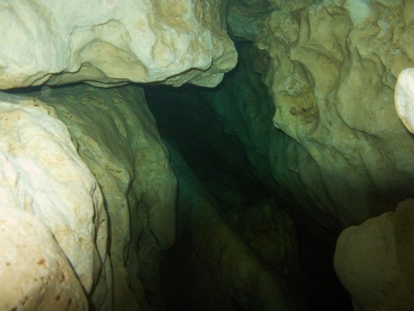 Florida Spring Diving