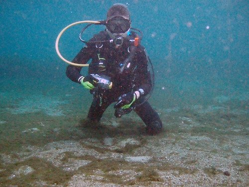 Florida Spring Diving