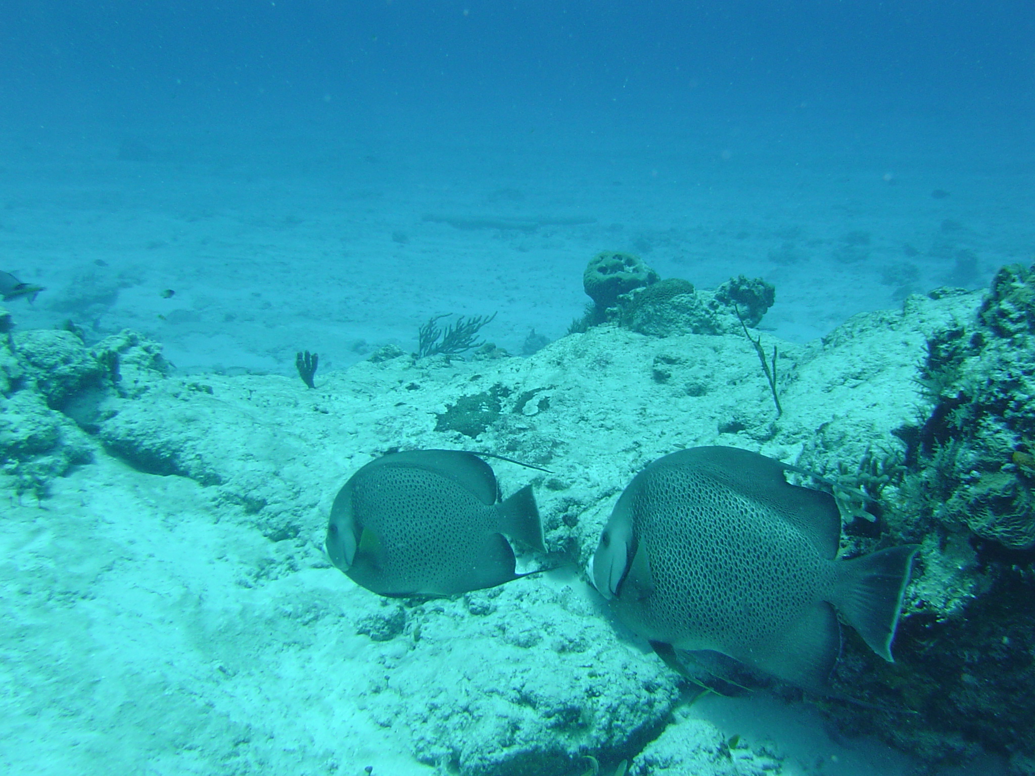 Follow the Leader/Cozumel/3.29.07