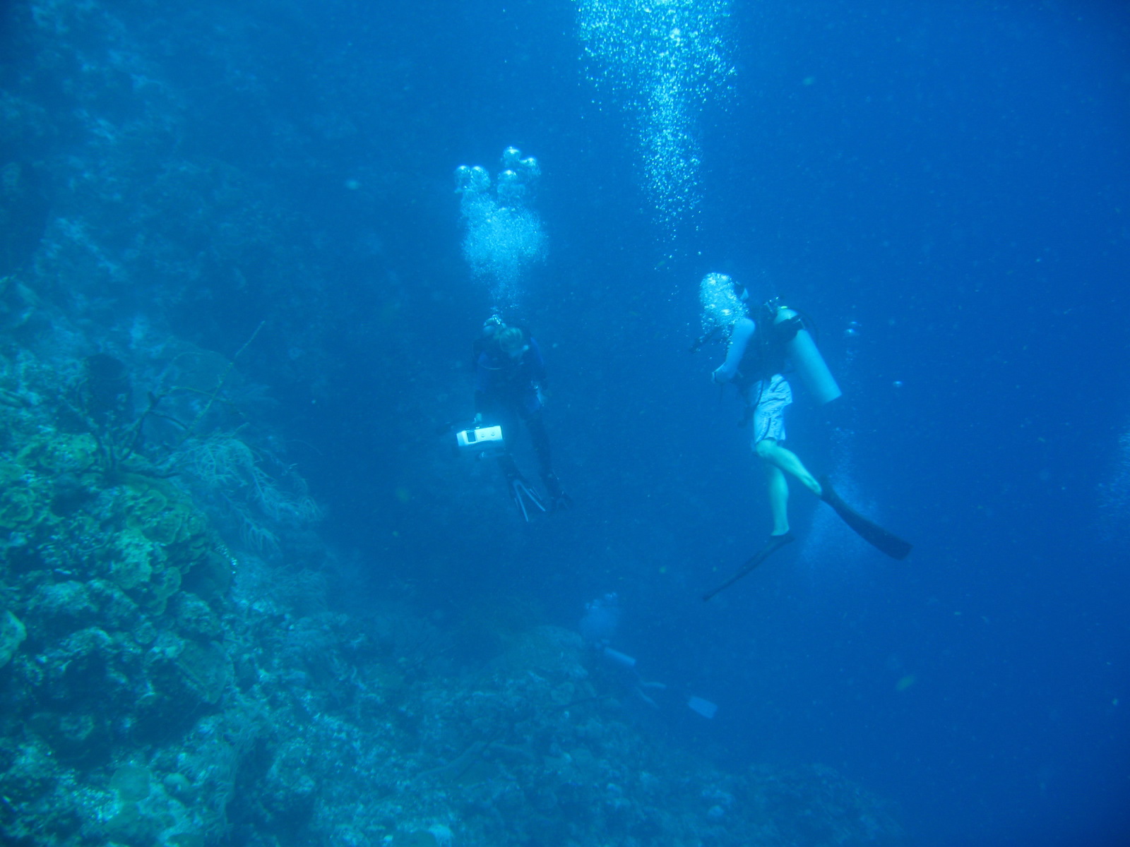 French Cay-Turks and Caicos