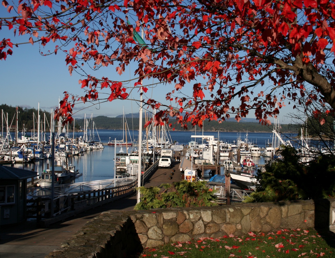 Friday Harbor, San Juan Islands