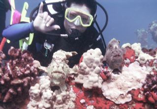 Frog fish at Mala ramp