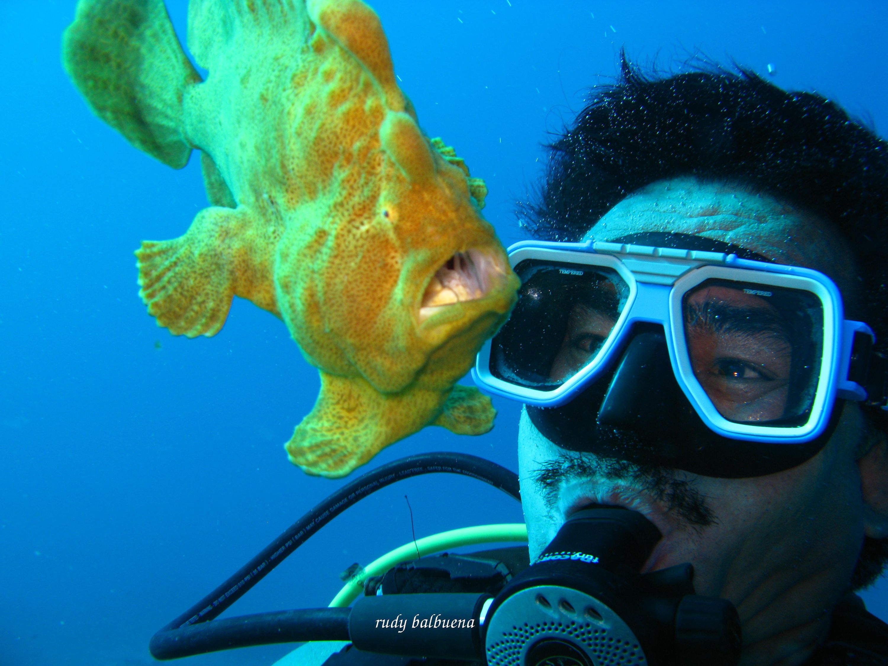 frogfish