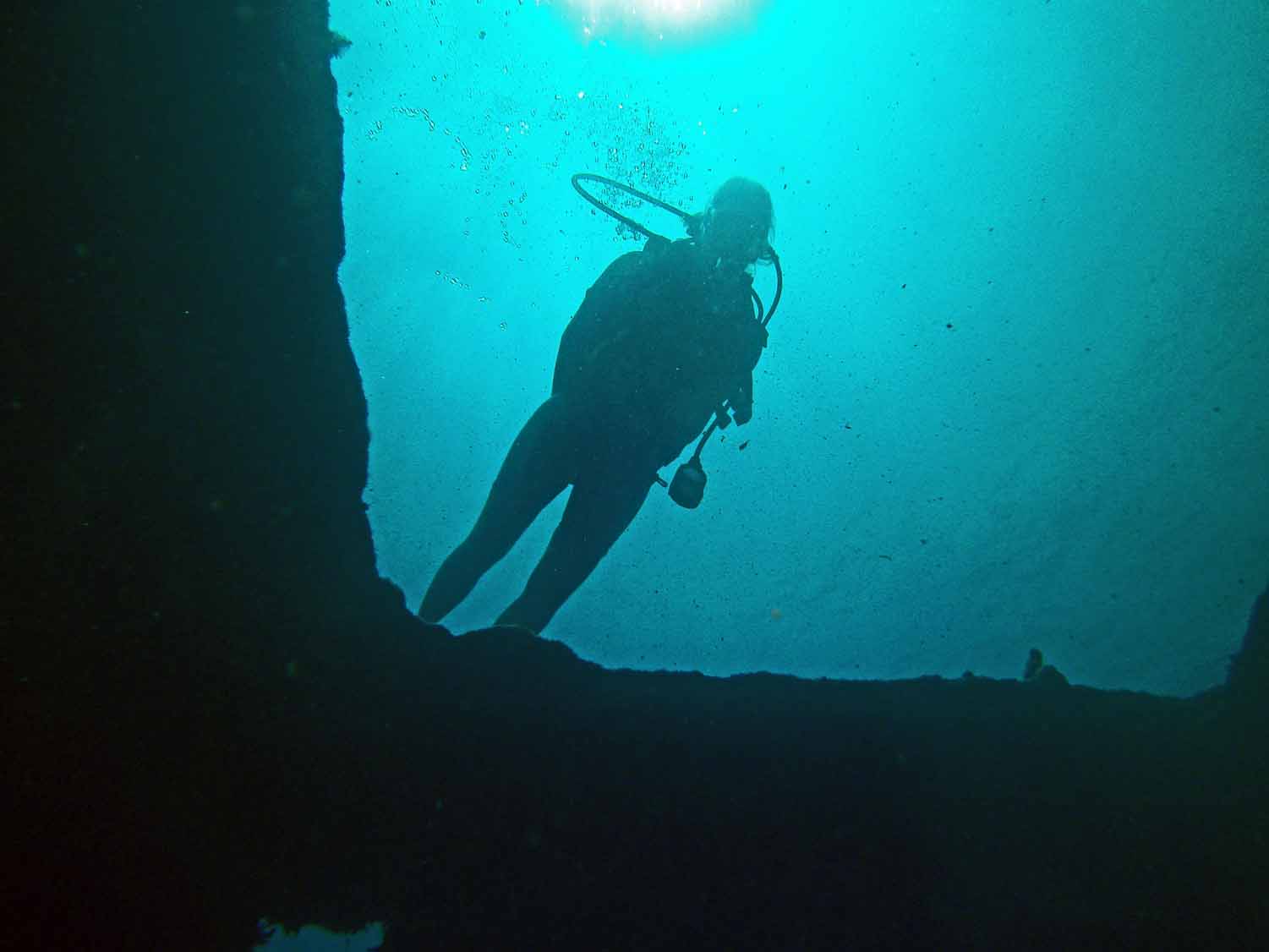 From the Prince Albert wreck