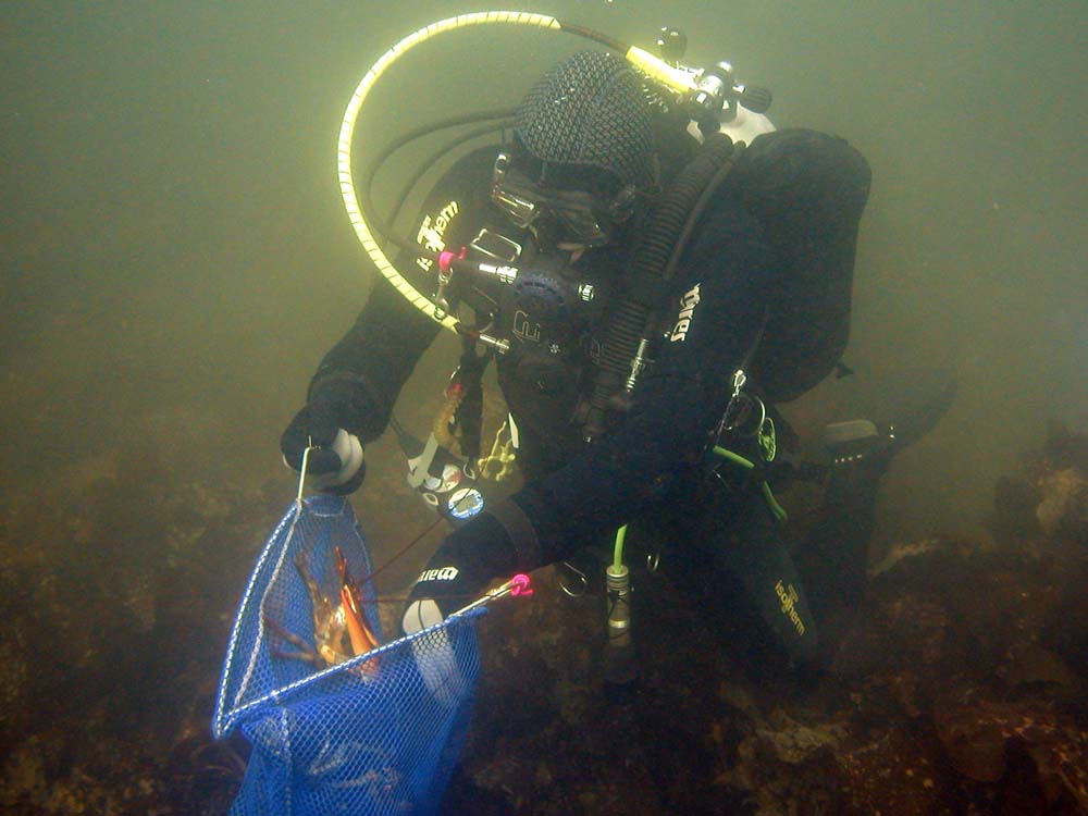 Front Beach dive, Rockport, MA 081709