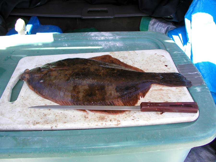 Front Beach, Rockport, MA, Dive 052508