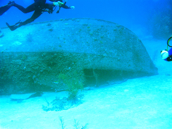 Front end of the tiny wreck