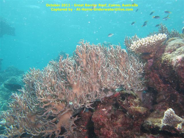 GBR Oct 2011