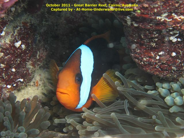 GBR Oct 2011