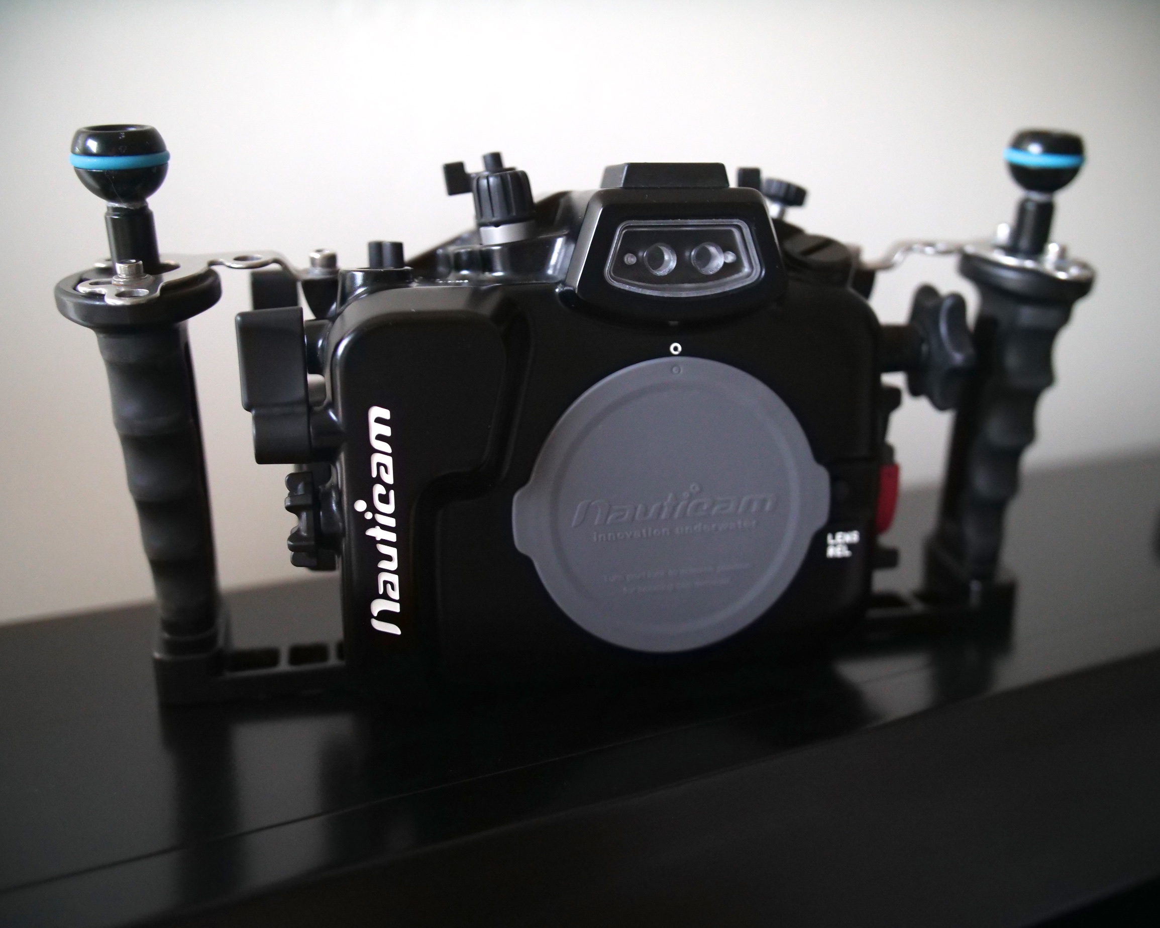 Gh4 (2)