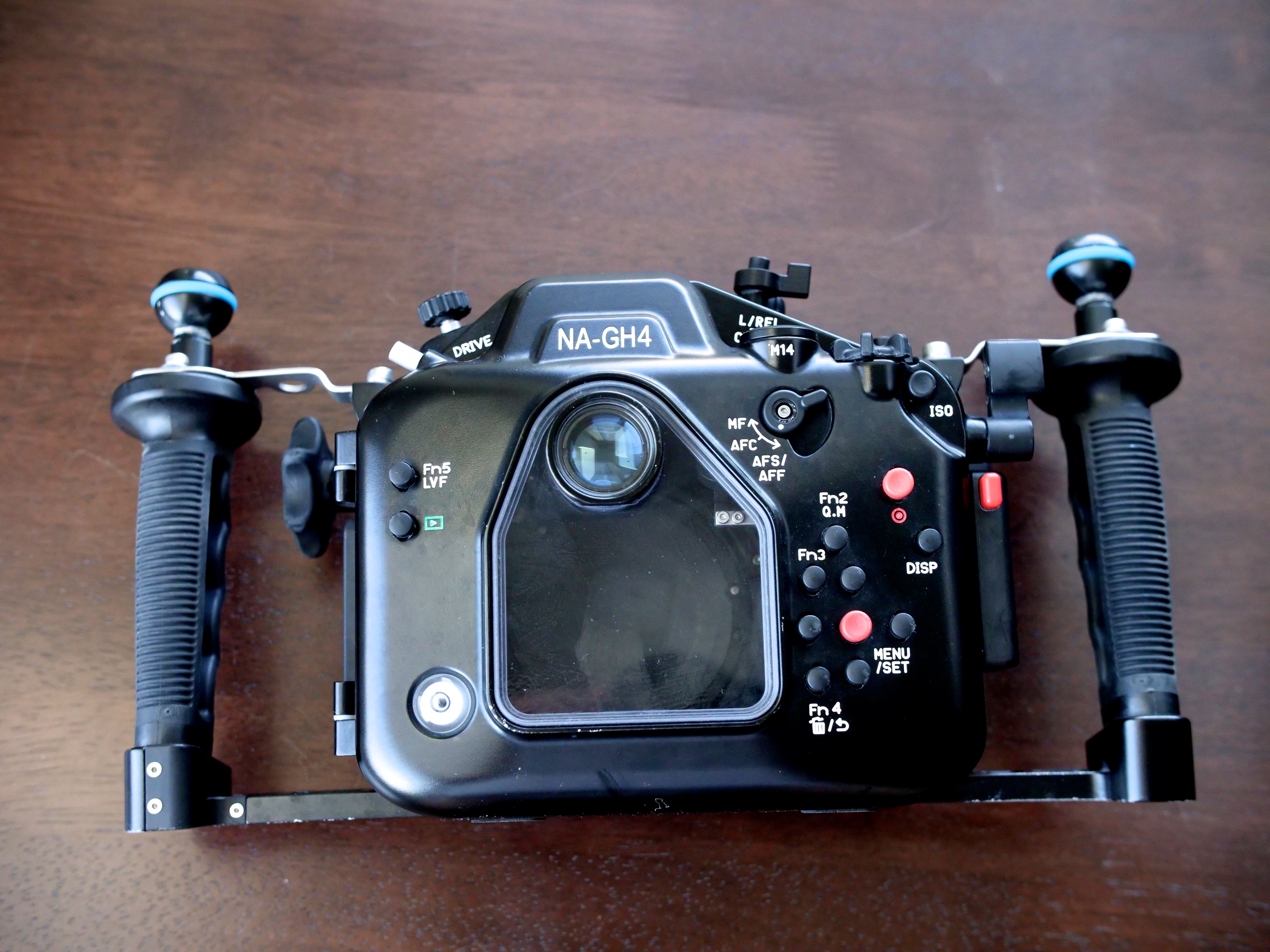 Gh4 (4)