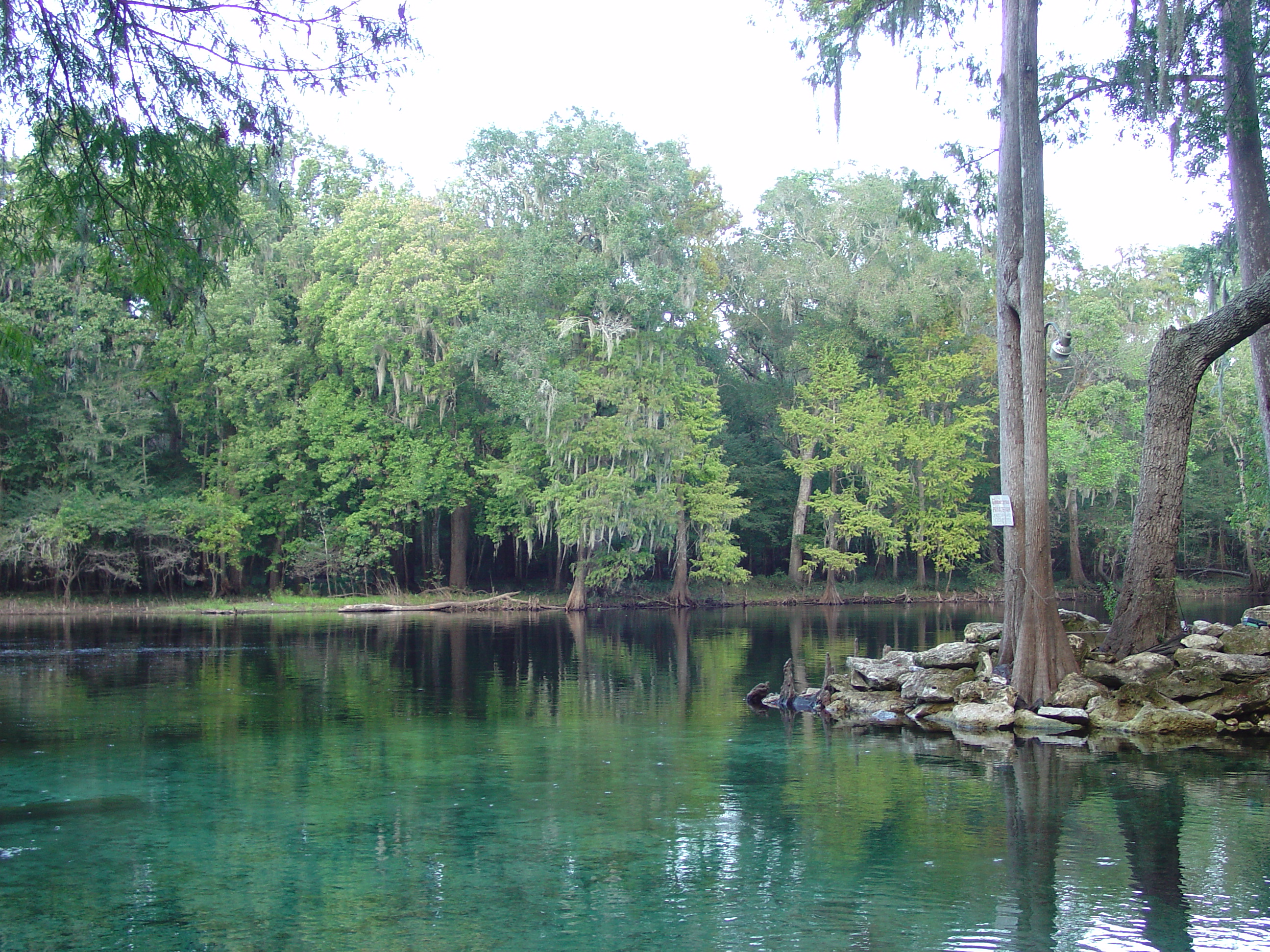 Ginnie Springs 13 Oct 2012