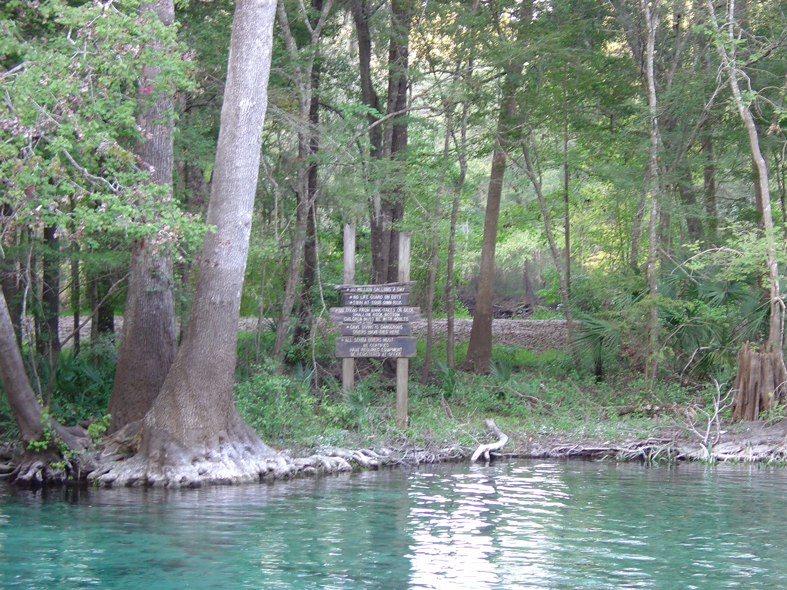 Ginnie Springs 13 Oct 2012