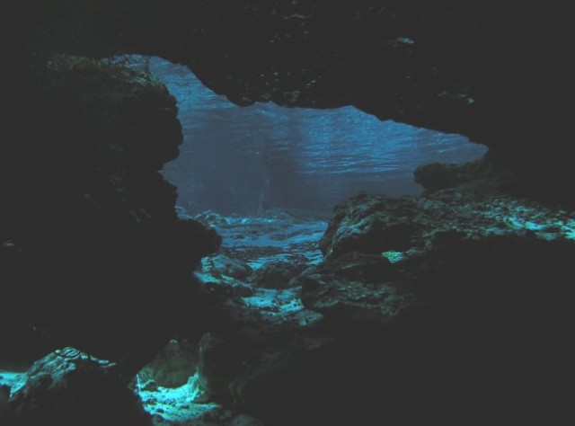 Ginnie Springs Cavern