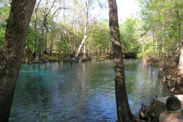 Ginnie Springs Ontop