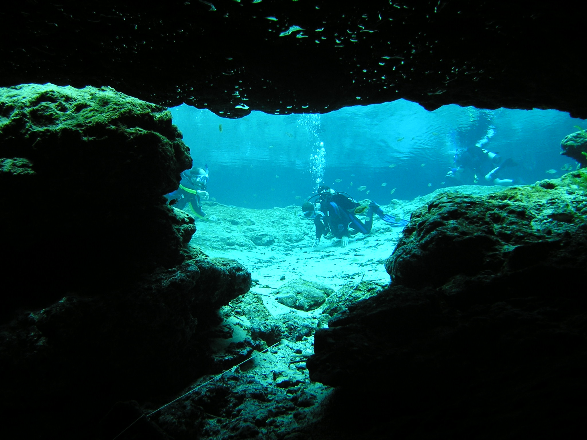 Ginnie Springs