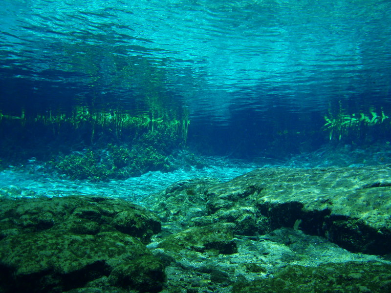 Ginnie Springs