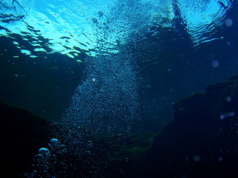 Ginnie Springs