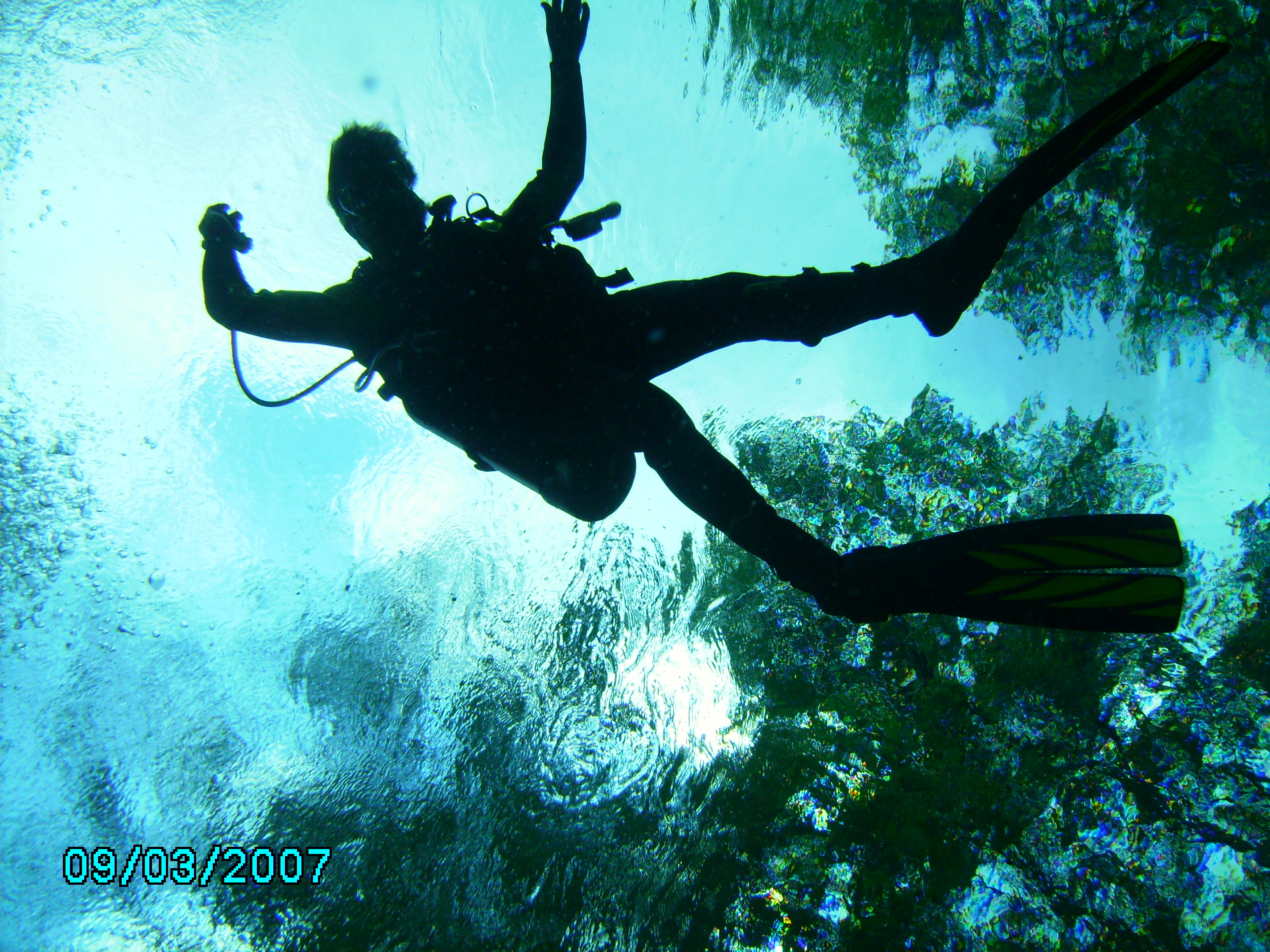 Ginnie Springs