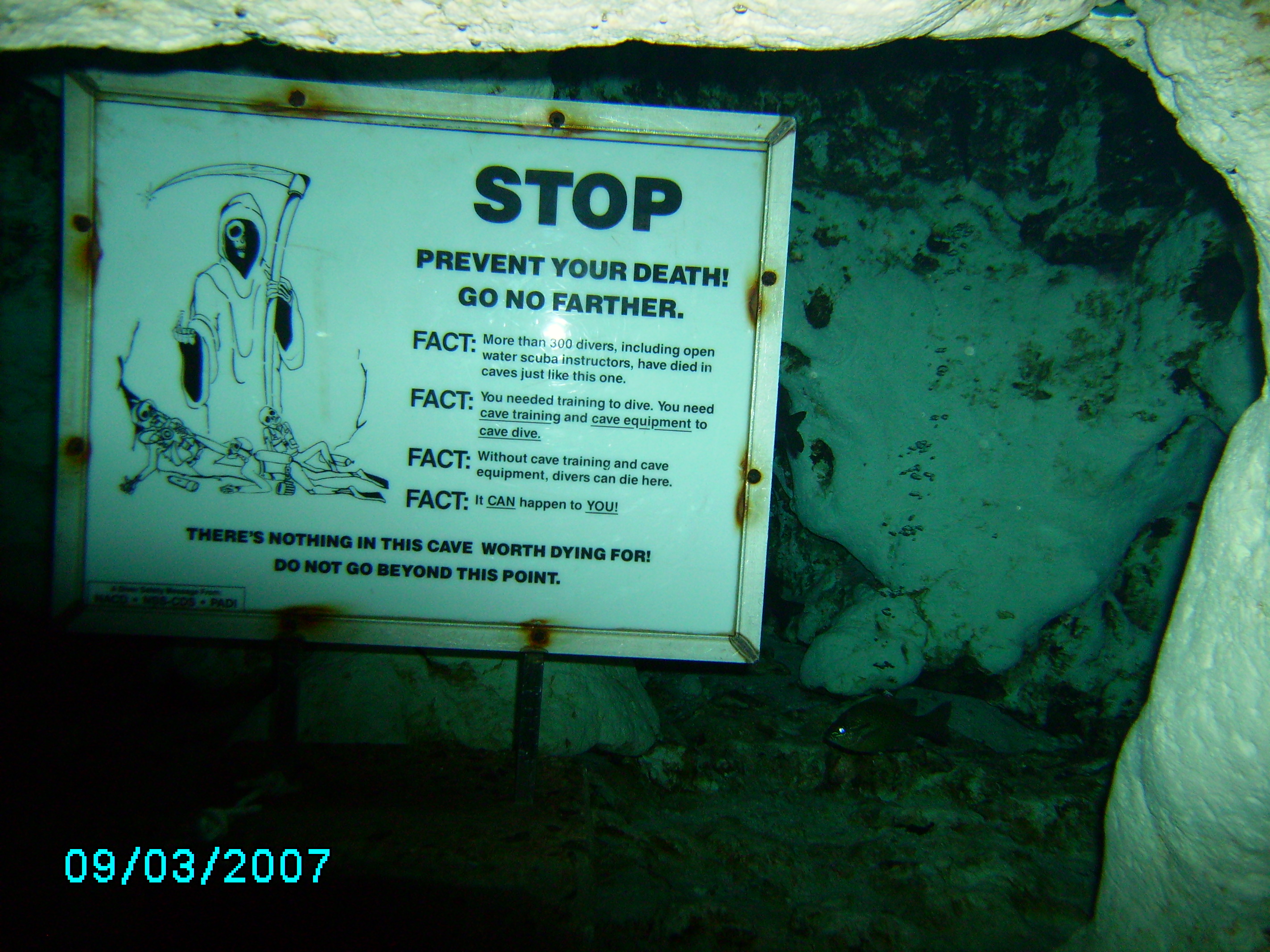 Ginnie Springs