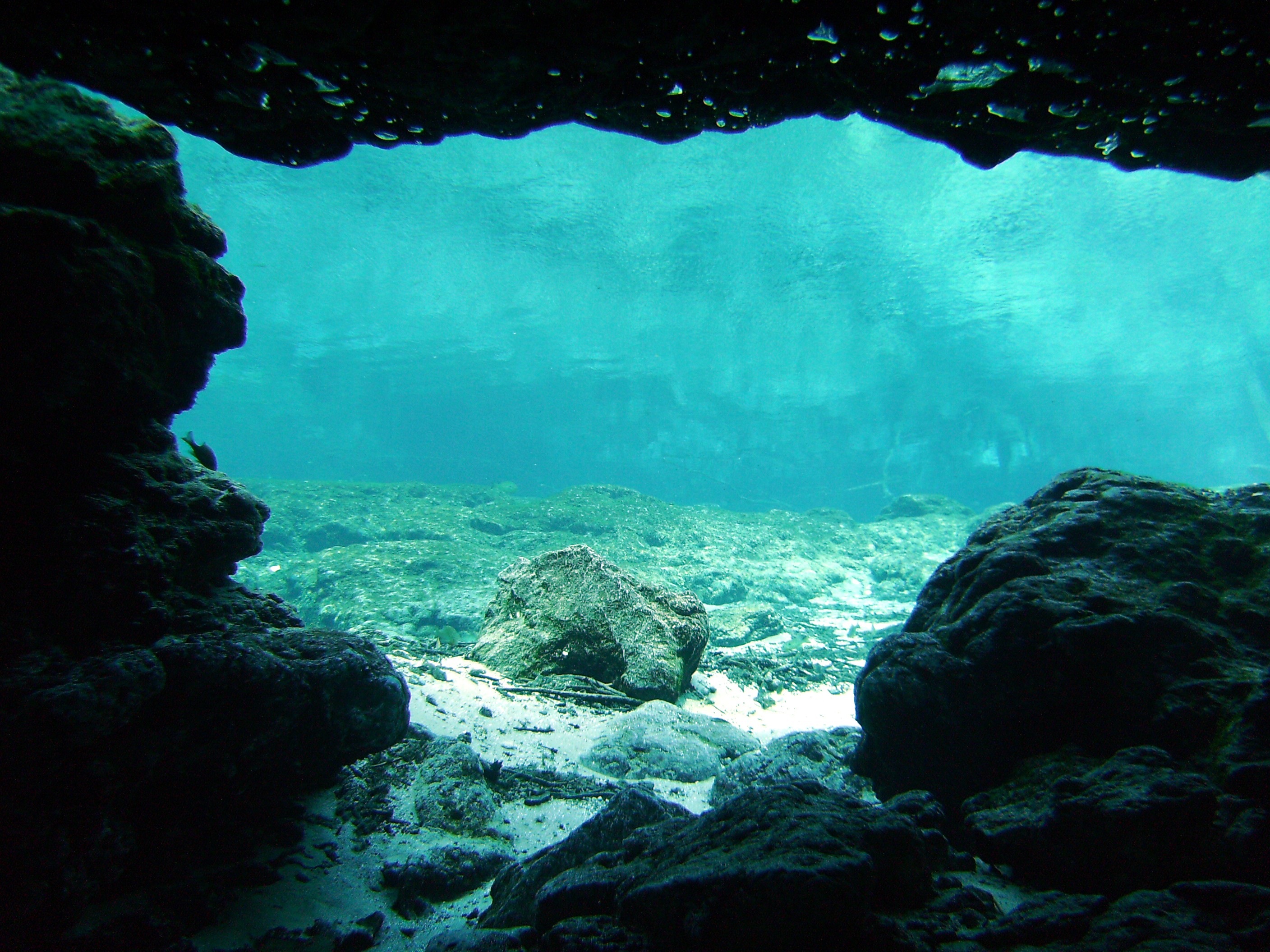 GINNIE SPRINGS