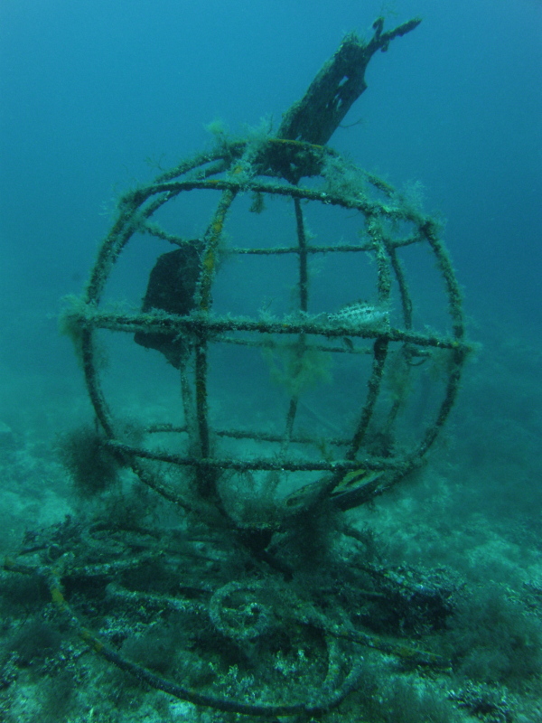 Globe and fish