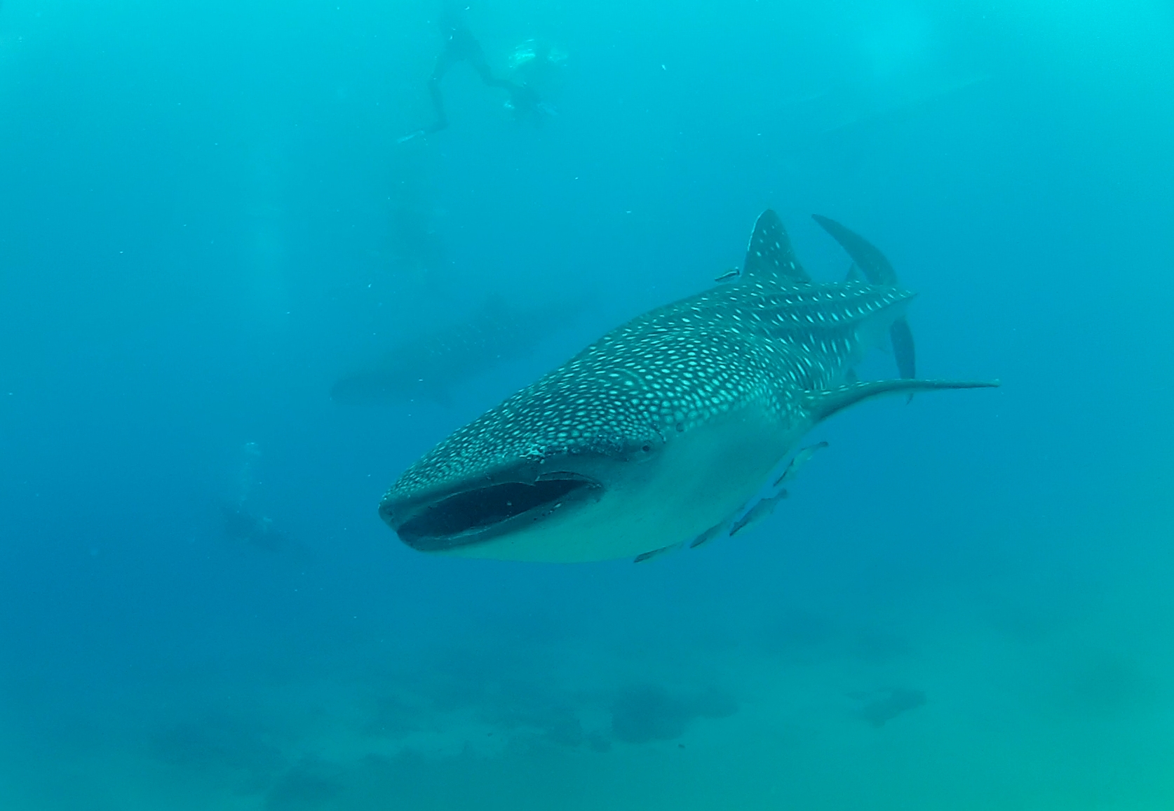 Gopro Photos
