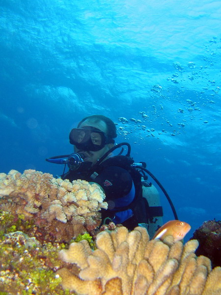 Gordon at Shark Pit