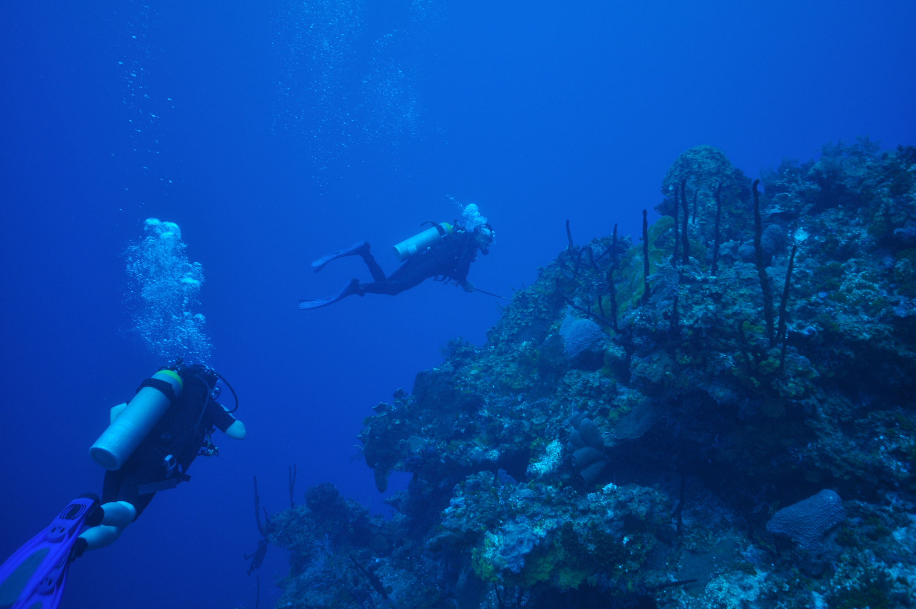 Govener's wall