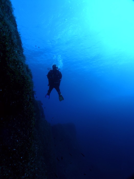 Gozo 2008