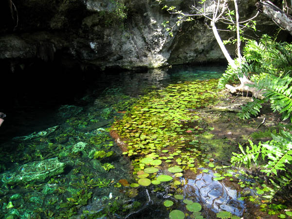 Gran Cenote