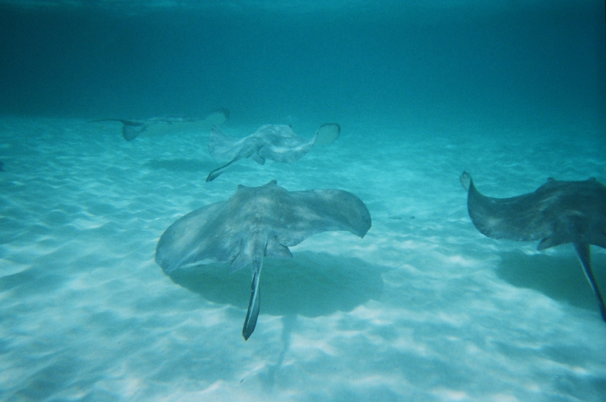 Grand Cayman Islands