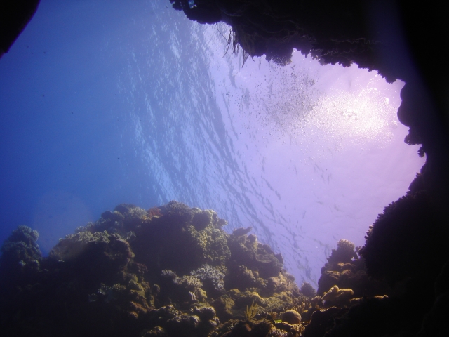 Great barrier reef