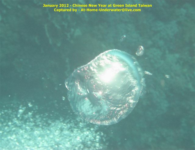 Green Island Jan 2012