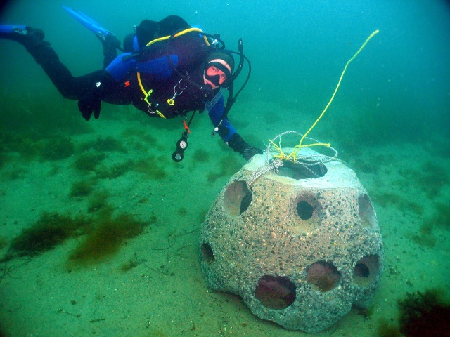 Greg & Reef Pod