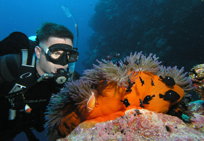Greg with Anemone
