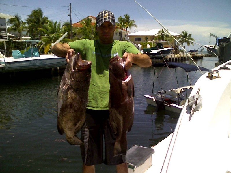 groupers1