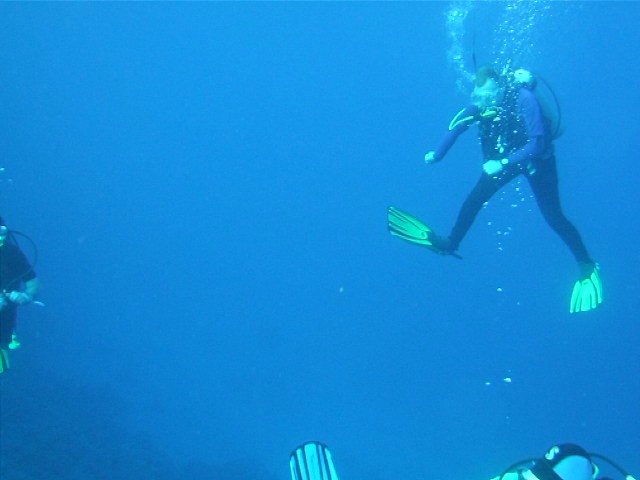 had an amazing dive
