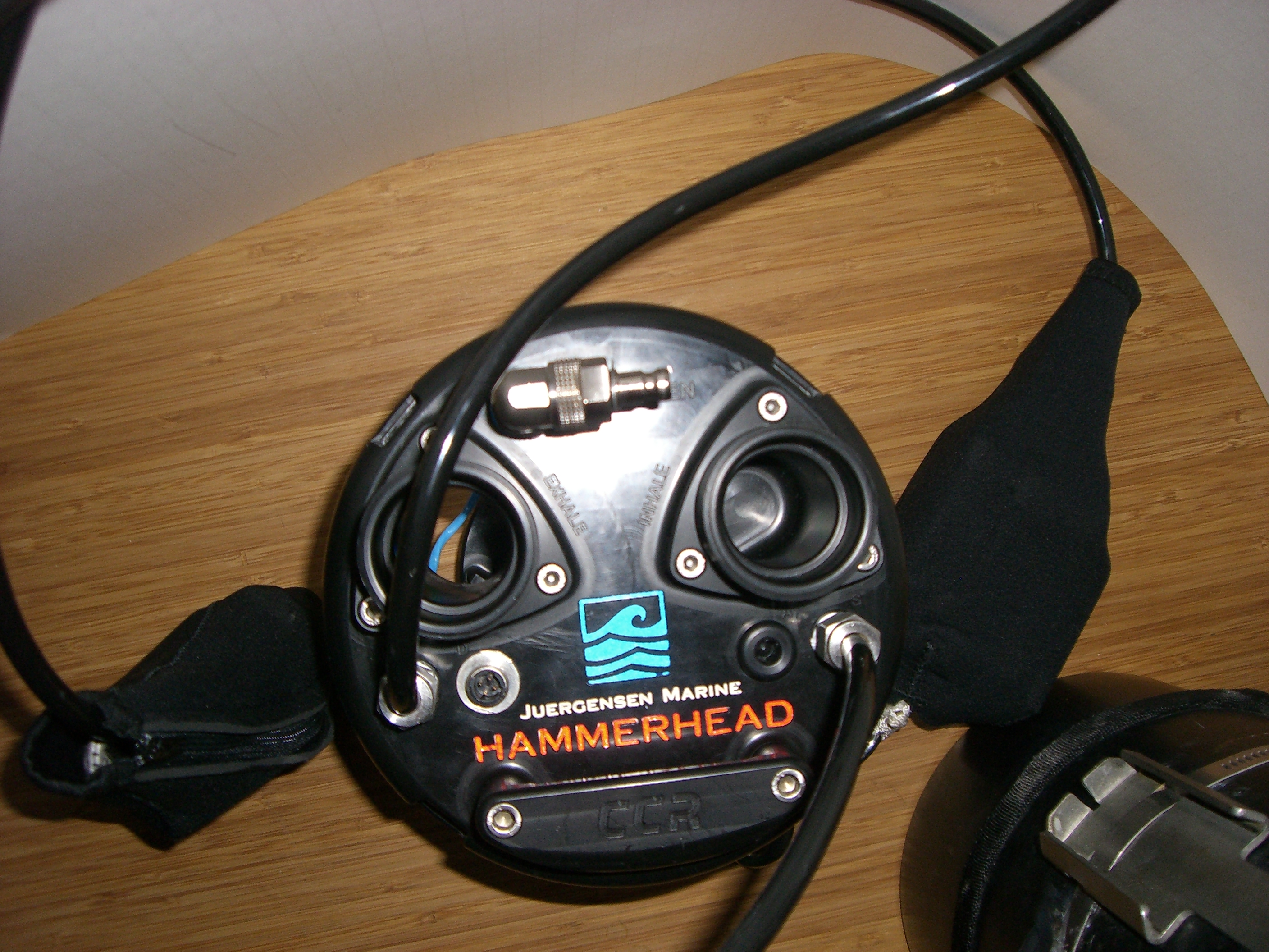 Hammerhead_1