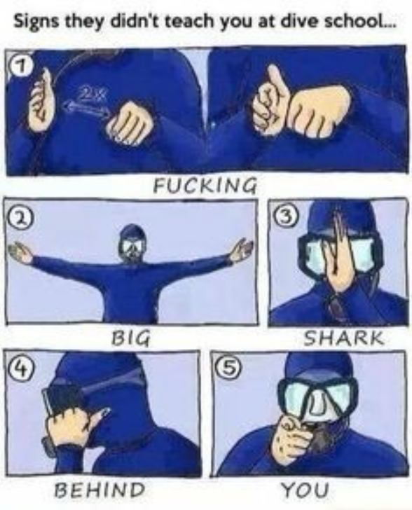Hand Signals