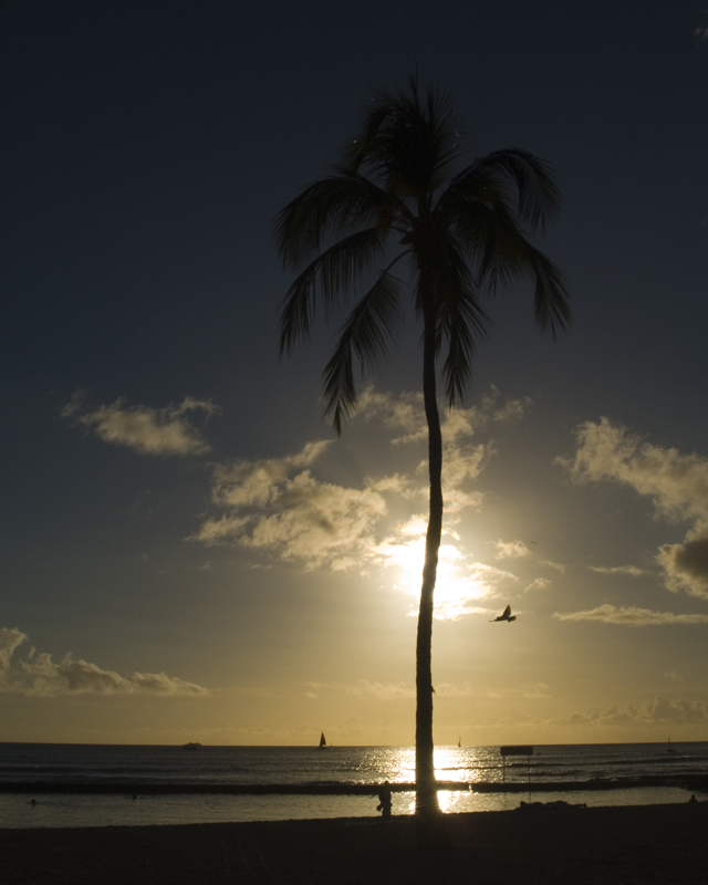 hawaii - Oahu