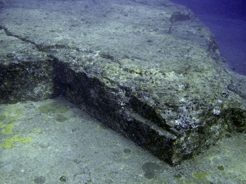 Head of the turtle monument at Yonaguni