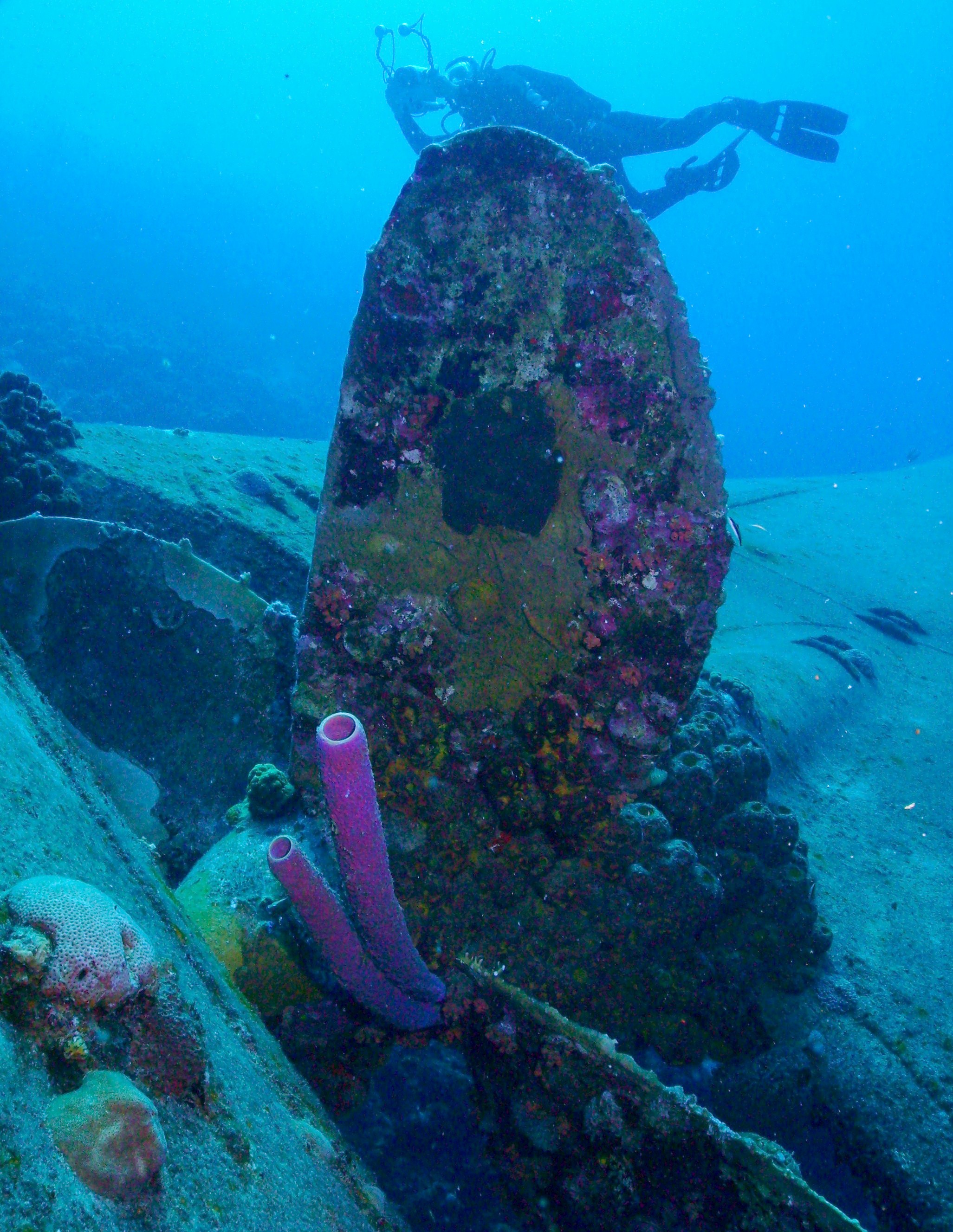 Hilma Hooker propeller & diver