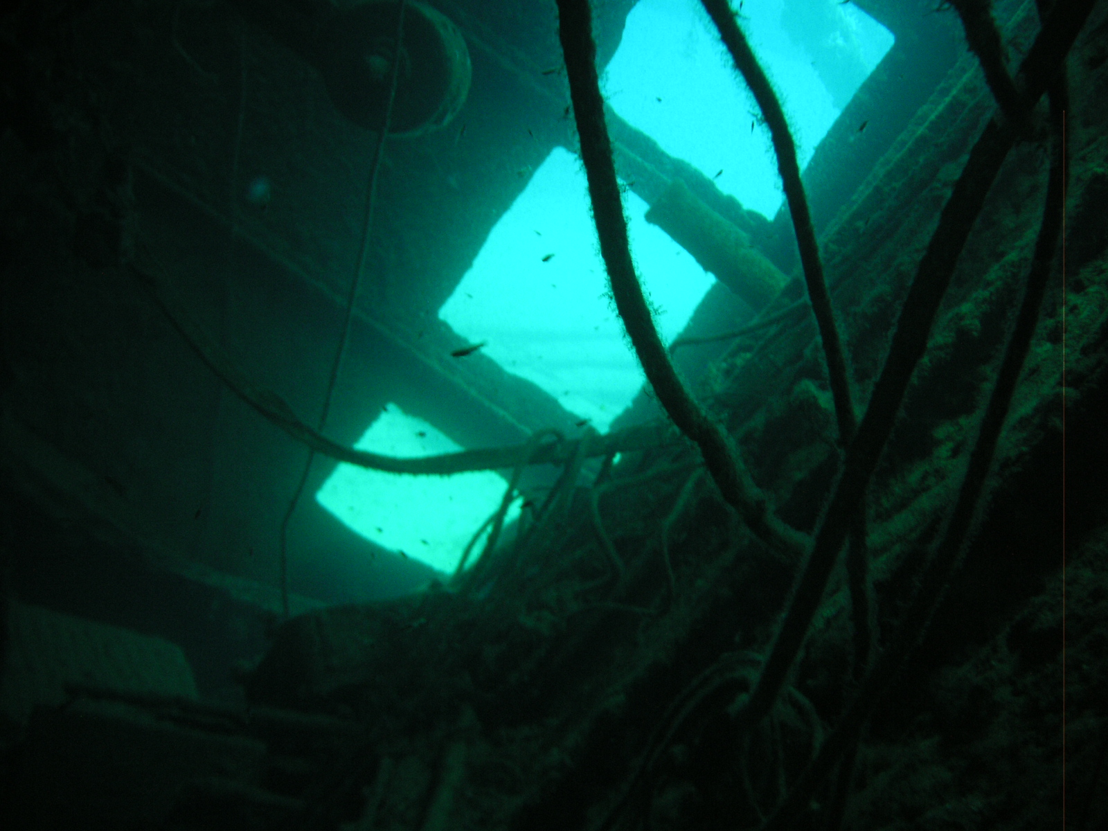 Hilma_Hooker_Dive_Site_5_