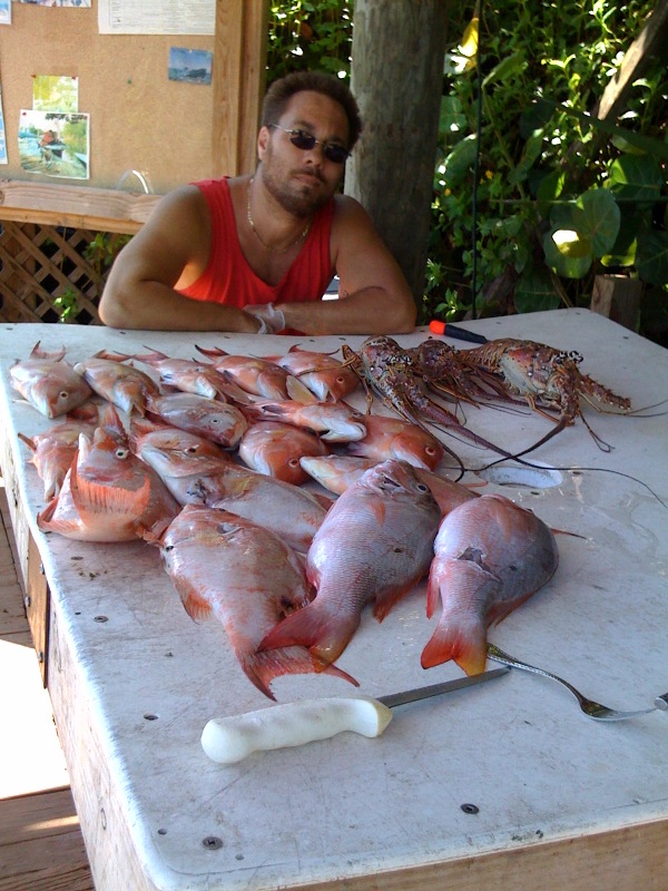 hogfish7