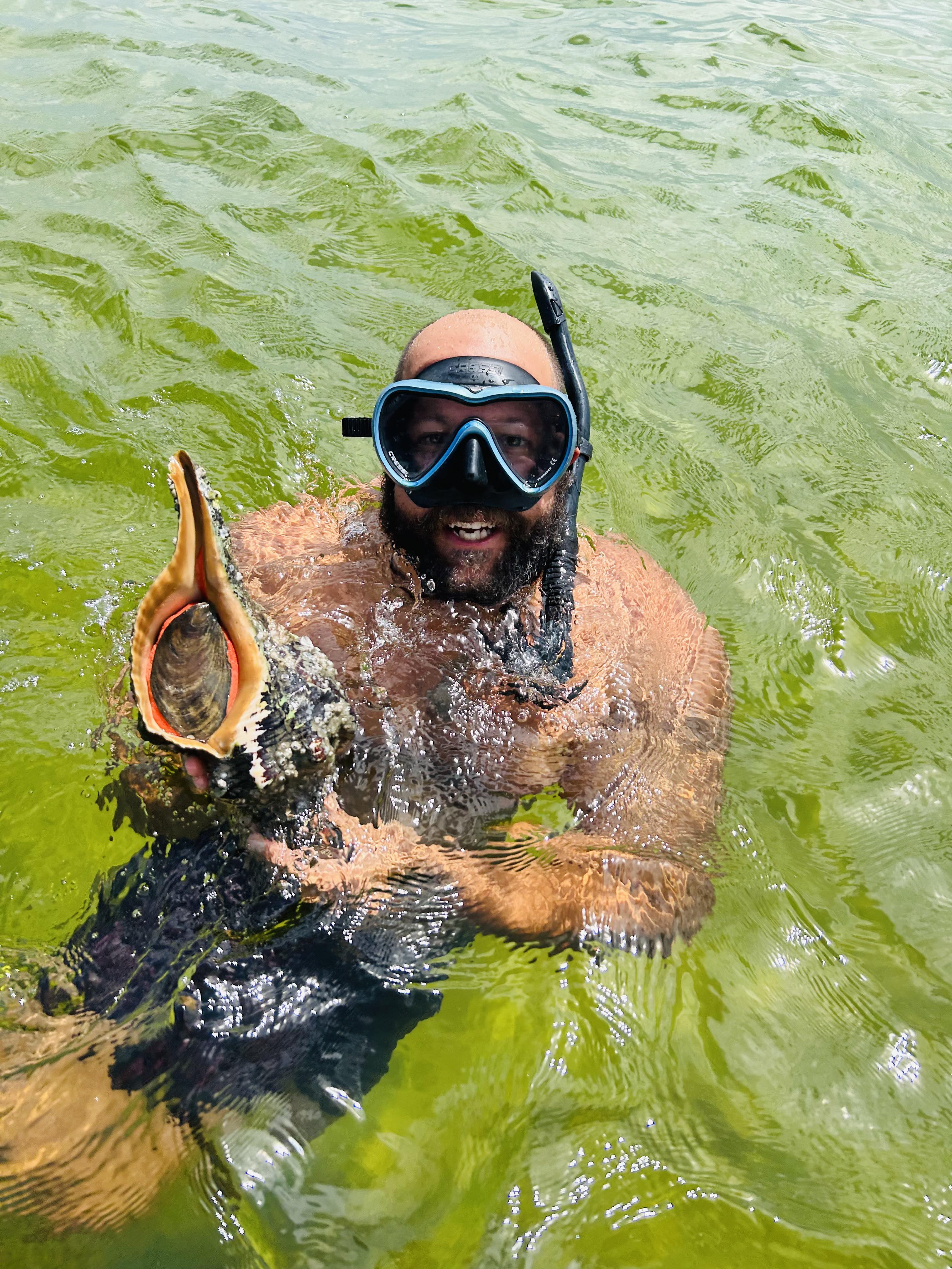 horse_conch_panama_city_beach_shelling.jpeg