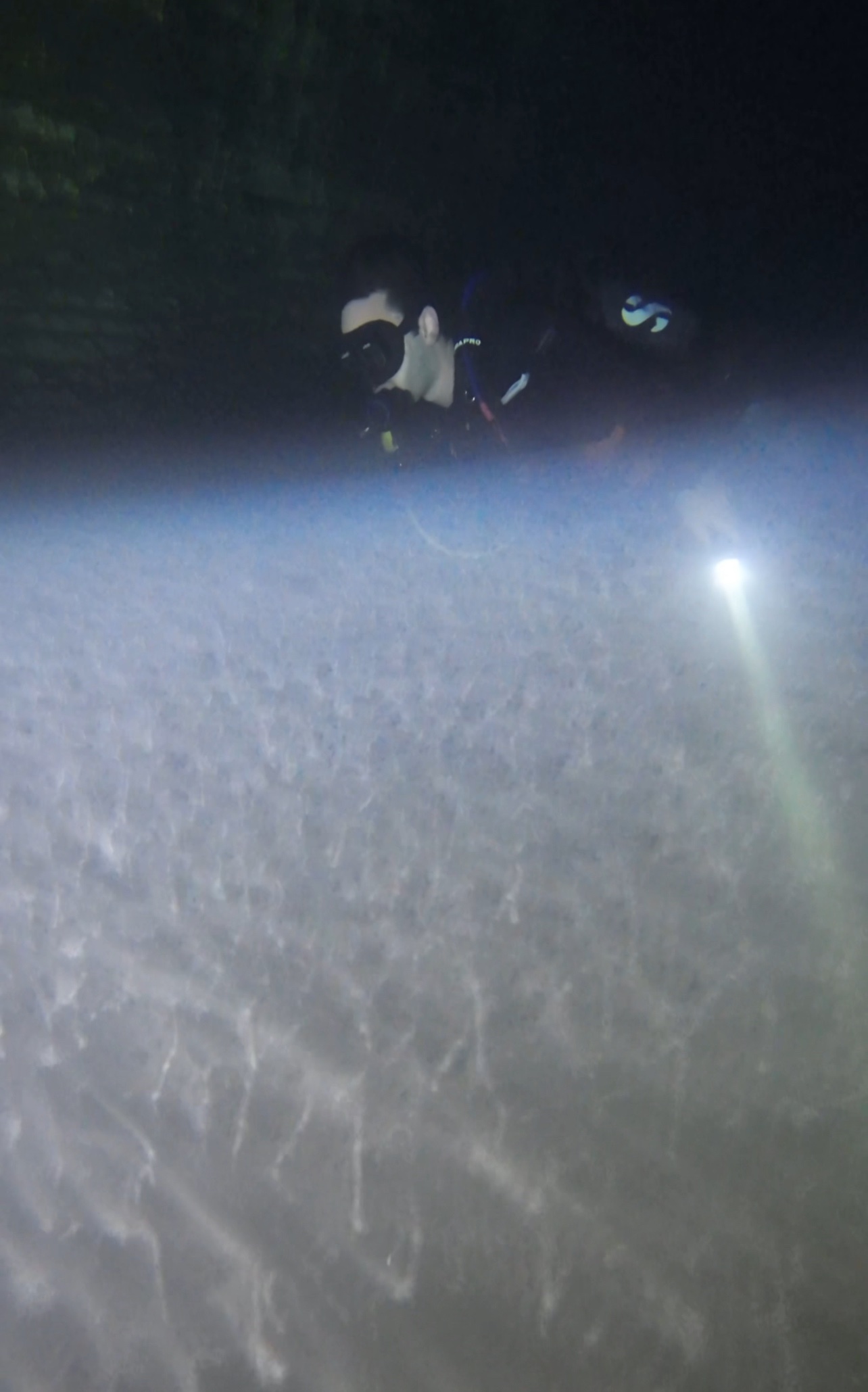 Hydrogen sulfide cloud at cenote 7 Bocas