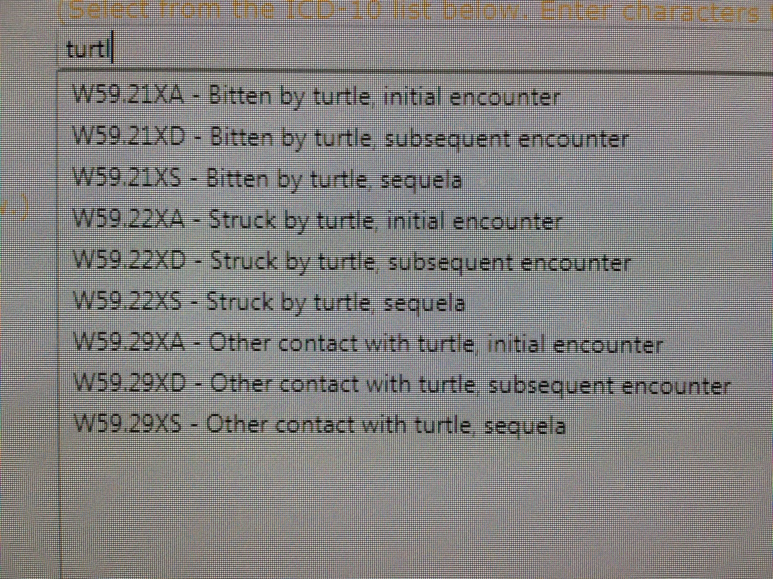 ICD10 Turtle